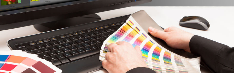 Colour Choice Colour Choice